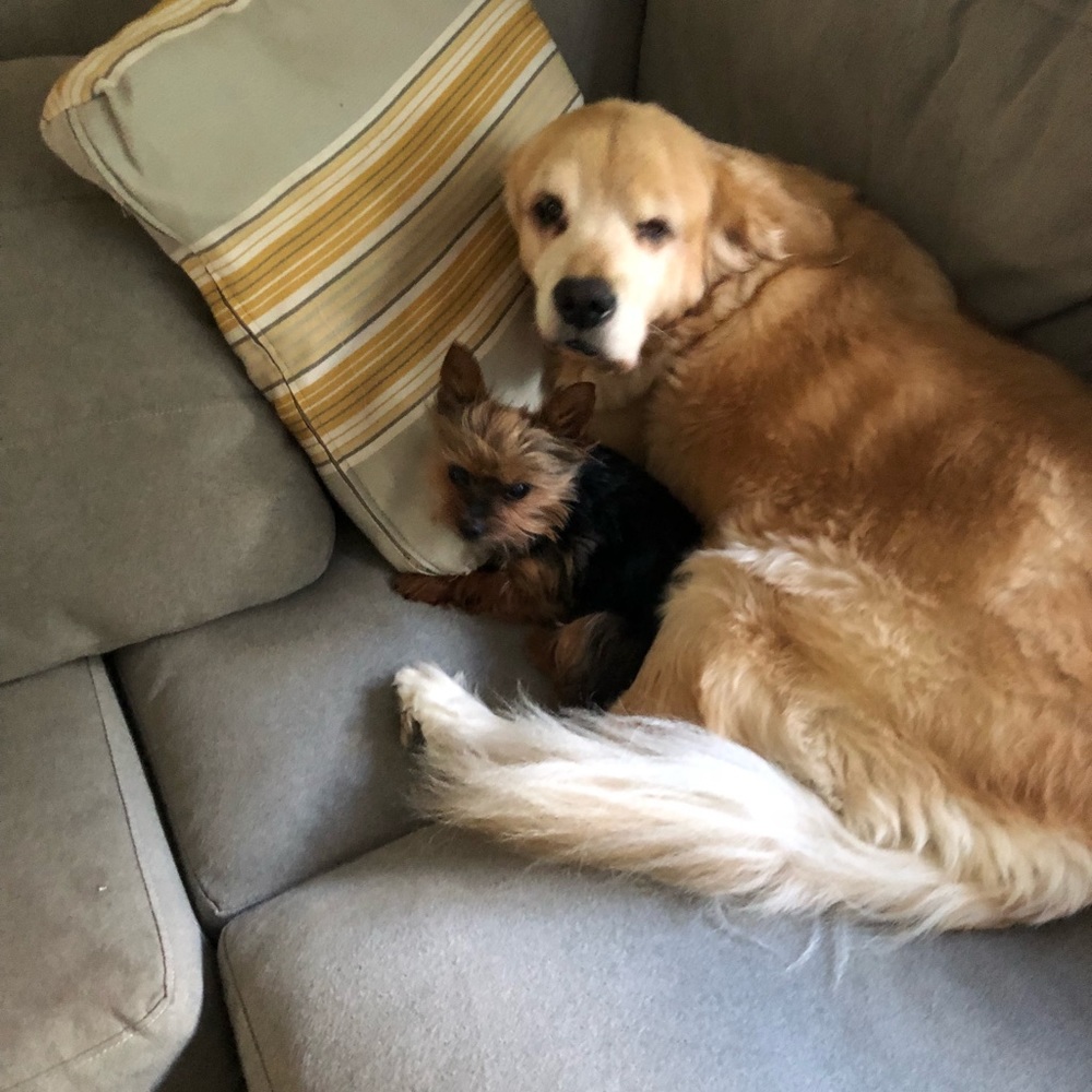 Meet your Posher, Patricia